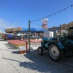 IMG_7559