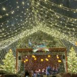 Weihnachtsmarkt am Dom